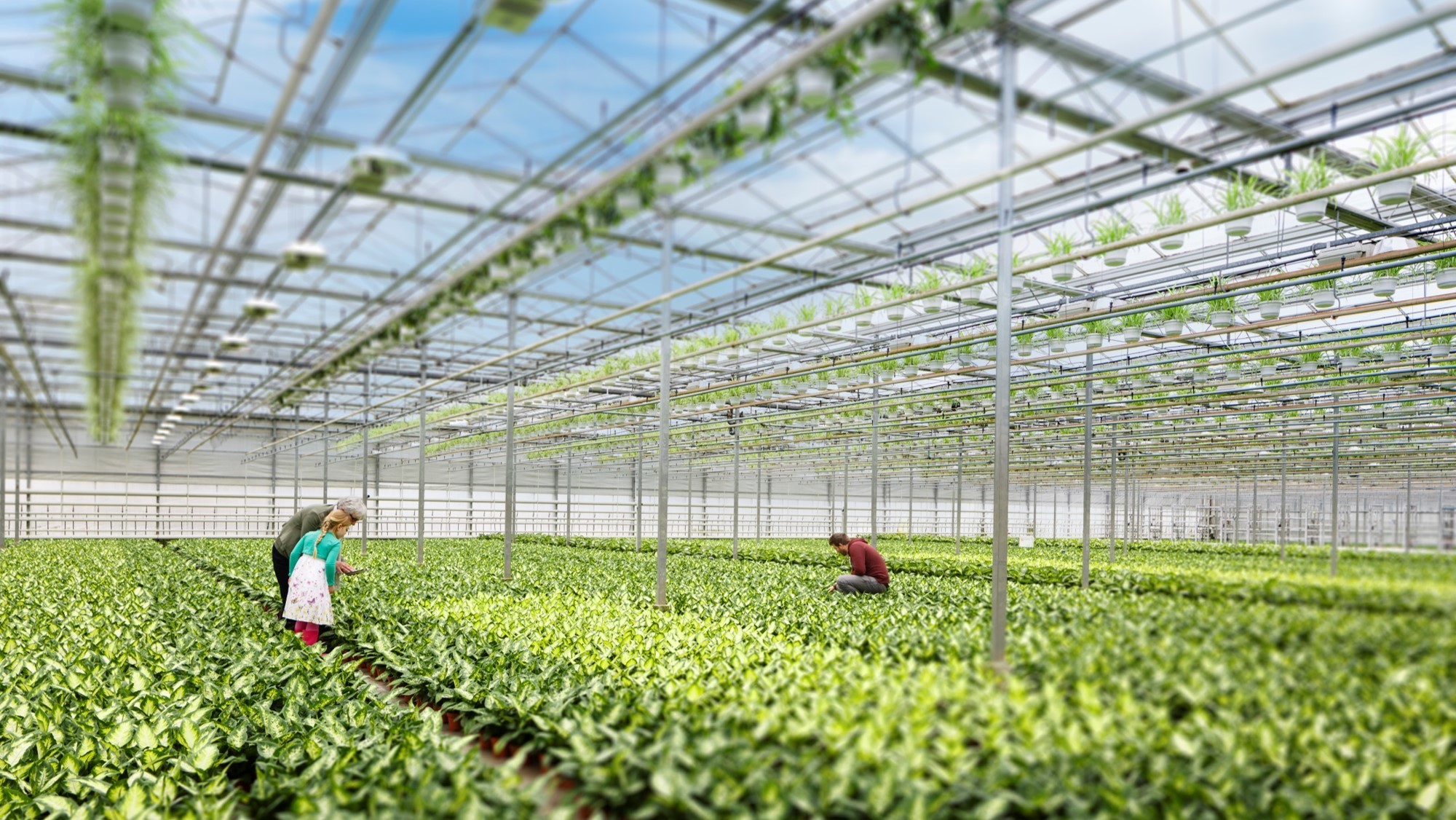 Streepjescode maakt inzichtelijk hoeveel vermogen er beschikbaar is per sector